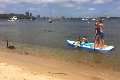 Stand Up Paddle Boarding - 2 Person Lesson - 1 Hour - Tourism Brisbane 8