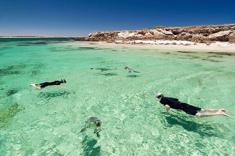 10 Day Perth To Adelaide - The Great Australian Wilderness Journey - Tourism Brisbane 6