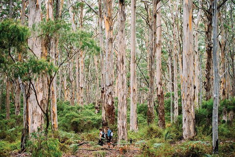 10 Day Perth To Adelaide - The Great Australian Wilderness Journey - Tourism Brisbane 18