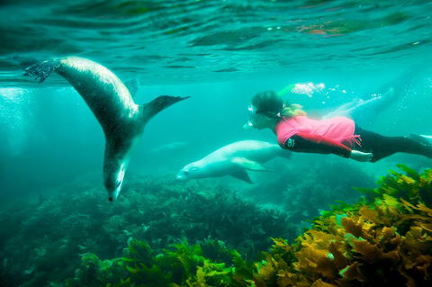 10 Day Perth To Adelaide - The Great Australian Wilderness Journey - Tourism Brisbane 25