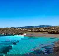 Rottnest Island Roundtrip Fast Ferry from Hillarys Boat Harbour - Tourism Brisbane