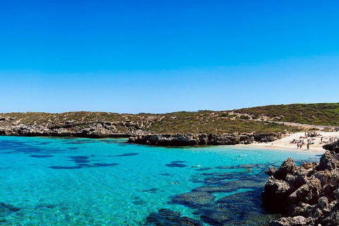 Rottnest Island Roundtrip Fast Ferry From Hillarys Boat Harbour - Tourism Brisbane 0