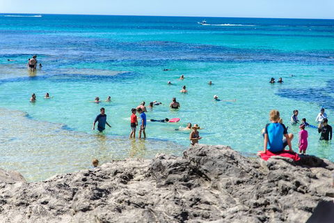 Rottnest Island Roundtrip Fast Ferry From Hillarys Boat Harbour - Tourism Brisbane 4