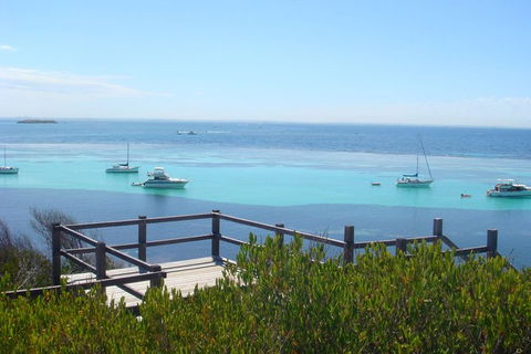 Rottnest Bayseeker Bus Tour From Hillarys Boat Harbour - Tourism Brisbane 3