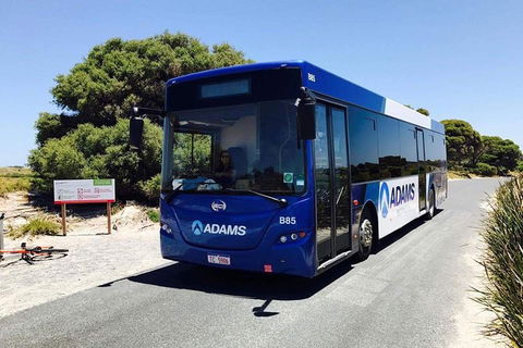 Rottnest Bayseeker Bus Tour From Hillarys Boat Harbour - Tourism Brisbane 2