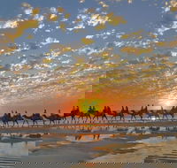 Broome City Sightseeing Tour with Optional Camel Ride - Brisbane 4u