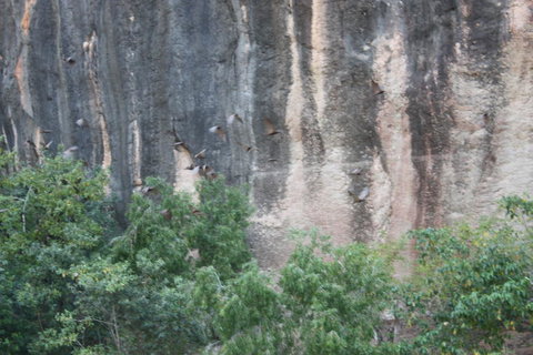 Windjana Gorge And Tunnel Creek 4WD Tour From Broome - Tourism Brisbane 2