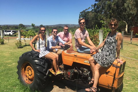 Half Day Swan Valley Wine Tour - Tourism Brisbane 6