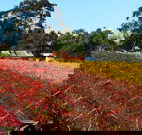 Swan Valley Wine Time Private Day Tour - Tourism Brisbane