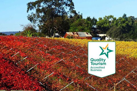 Swan Valley Wine Time (Private) Day Tour - Tourism Brisbane 2