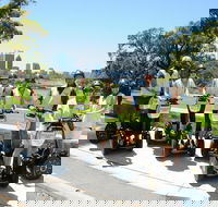 Kings Park Segway Tour - Tourism Brisbane