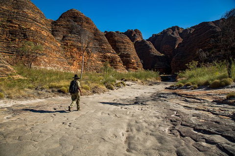 Bungle Bungle Scenic Flights, Domes & Cathedral Gorge Walk - Tourism Brisbane 7