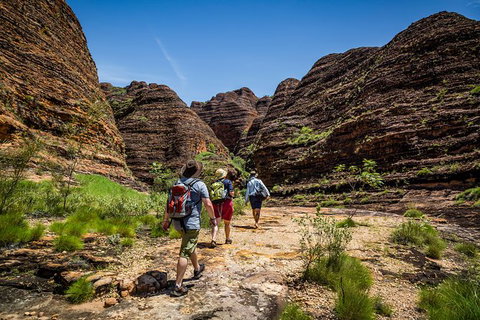 Bungle Bungle Scenic Flights, Domes & Cathedral Gorge Walk - Tourism Brisbane 4
