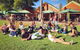 Sunday Afternoon Swan Valley Wine & Brewery Tour From Perth - thumb 2