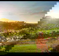 Private Swan Valley Tour by Luxury Vehicle from Perth - Tourism Brisbane