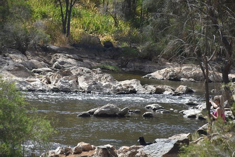 Private Swan Valley Tour By Luxury Vehicle From Perth - Tourism Brisbane 5