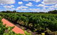 Private Swan Valley Tour By Luxury Vehicle From Perth - thumb 7