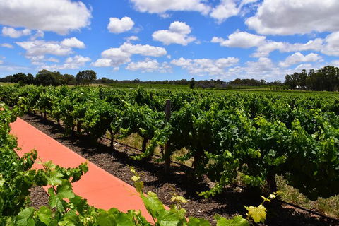 Private Swan Valley Tour By Luxury Vehicle From Perth - Tourism Brisbane 7