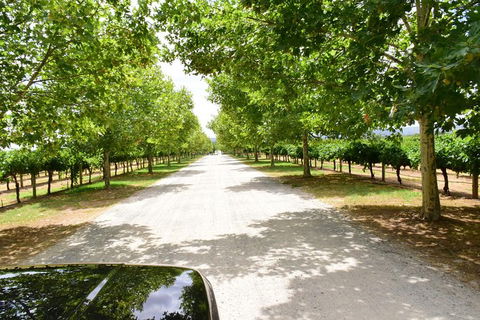 Private Swan Valley Tour By Luxury Vehicle From Perth - Tourism Brisbane 27