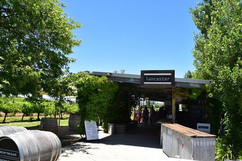 Private Swan Valley Tour By Luxury Vehicle From Perth - Tourism Brisbane 18