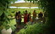 Private Swan Valley Tour By Luxury Vehicle From Perth - thumb 15