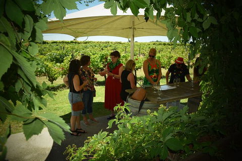 Private Swan Valley Tour By Luxury Vehicle From Perth - Tourism Brisbane 15