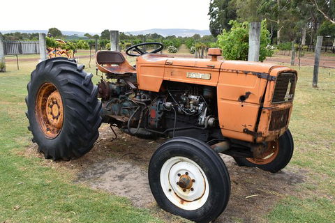 Private Swan Valley Tour By Luxury Vehicle From Perth - Tourism Brisbane 13