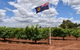 Private Swan Valley Tour By Luxury Vehicle From Perth - thumb 14