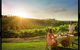 Private Swan Valley Tour By Luxury Vehicle From Perth - thumb 2