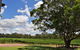 Private Swan Valley Tour By Luxury Vehicle From Perth - thumb 20
