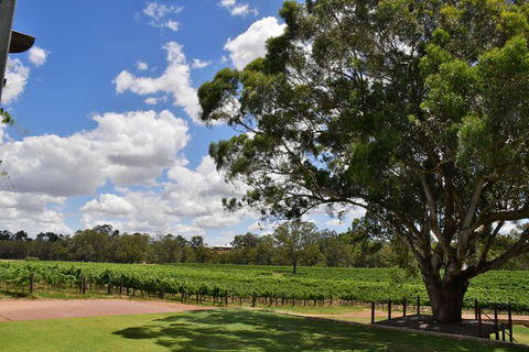 Private Swan Valley Tour By Luxury Vehicle From Perth - Tourism Brisbane 20