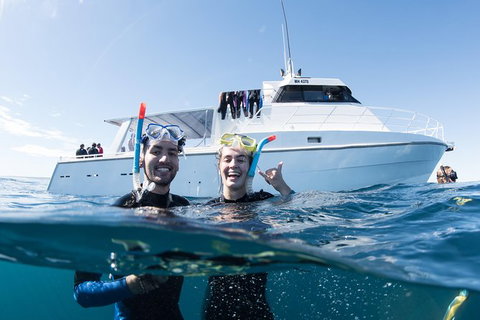 Swim With Whale Sharks - Ningaloo Reef - 3 Islands Whale Shark Dive - Tourism Brisbane 20