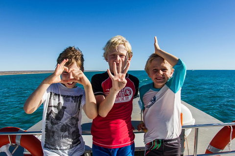 Swim With Whale Sharks - Ningaloo Reef - 3 Islands Whale Shark Dive - Tourism Brisbane 15