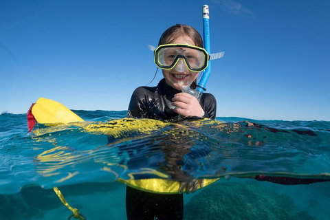 Swim With Whale Sharks - Ningaloo Reef - 3 Islands Whale Shark Dive - Tourism Brisbane 17