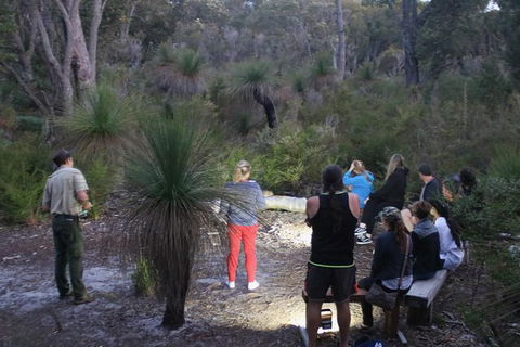 Nocturnal Wildlife Tour From Busselton Or Dunsborough - Tourism Brisbane 5
