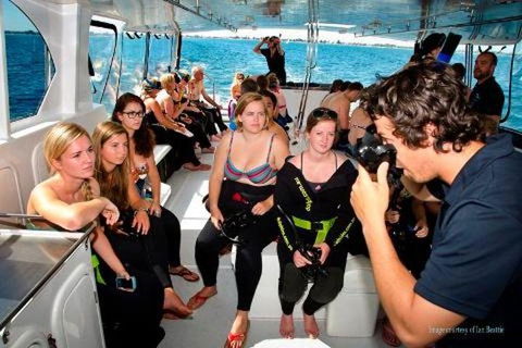 Swim With Wild Dolphins - Tourism Brisbane 6