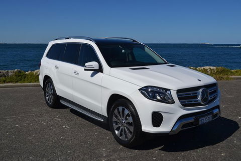 Swim With Wild Dolphins - Tourism Brisbane 5