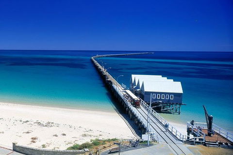 Full-Day Busselton Jetty, Train Ride & Dophin Discovery - Tourism Brisbane 0