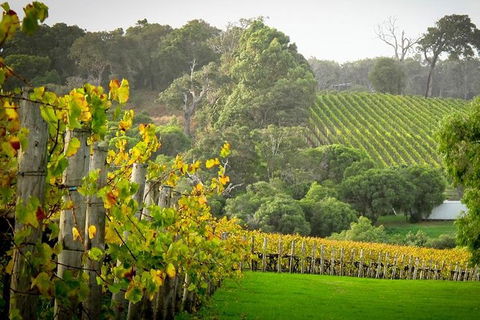 Half-Day Swan Valley & Wildlife Park Tour - Tourism Brisbane 2