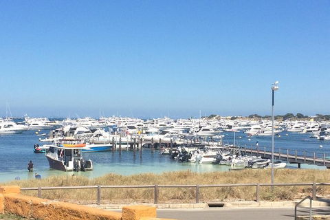 Rottnest Island ECO E Bike Tour - Tourism Brisbane 6