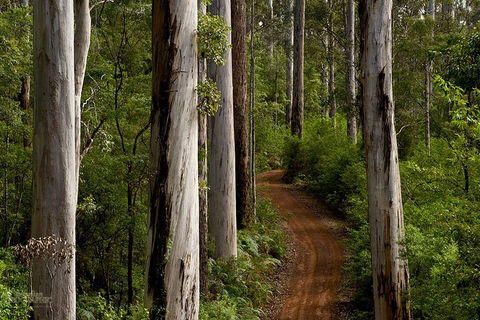 Albany Southwest Wilderness Day Tour - Fly From Perth - Tourism Brisbane 6