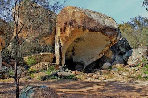 Wave Rock & Rottnest Island - Air & Ground Tour - Tourism Brisbane 7