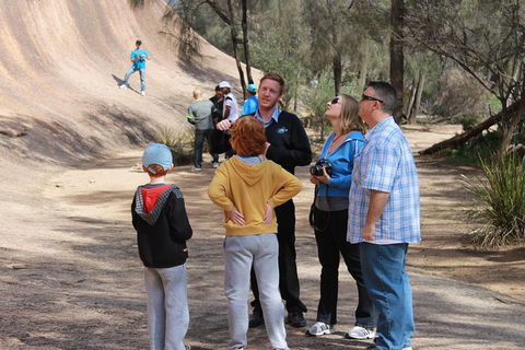 Wave Rock & Rottnest Island - Air & Ground Tour - Tourism Brisbane 3