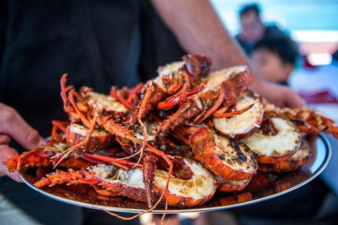 Mandurah Wild Seafood Adventure Cruise - Tourism Brisbane 1