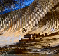 The Big Wave Rock Private Day Tour - Tourism Brisbane