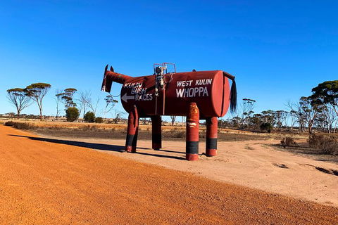 The Big Wave Rock (Private) Day Tour - Tourism Brisbane 12