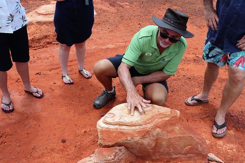 Broome Panoramic Town Tour - All The Extraordinary Sights And History Of Broome - Brisbane Tourism 10