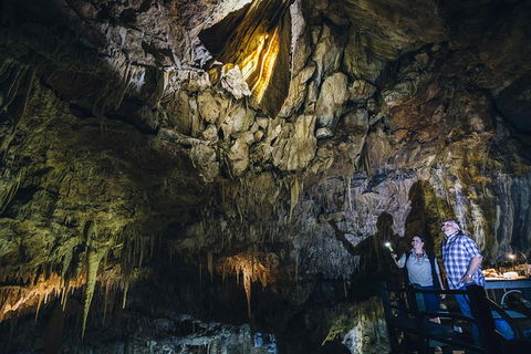Ngilgi Cave Semi-guided Tour - Tourism Brisbane 4