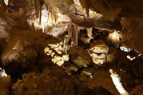 Ngilgi Cave Semi-guided Tour - Tourism Brisbane 3