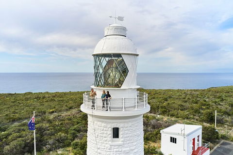 Cape Naturaliste Lighthouse Fully-guided Tour - Tourism Brisbane 5
